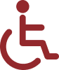 Accessible icon