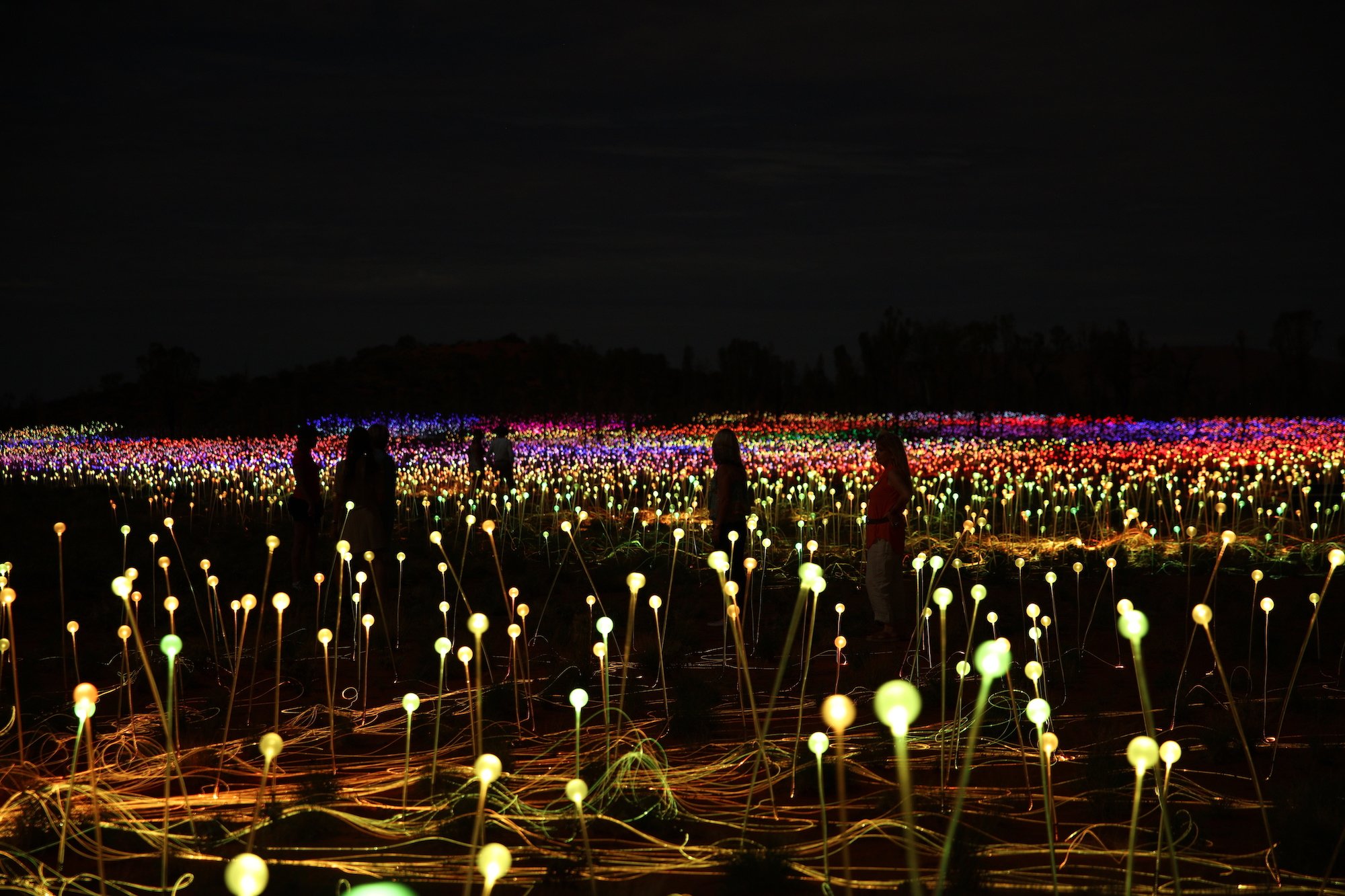 Field of light up close