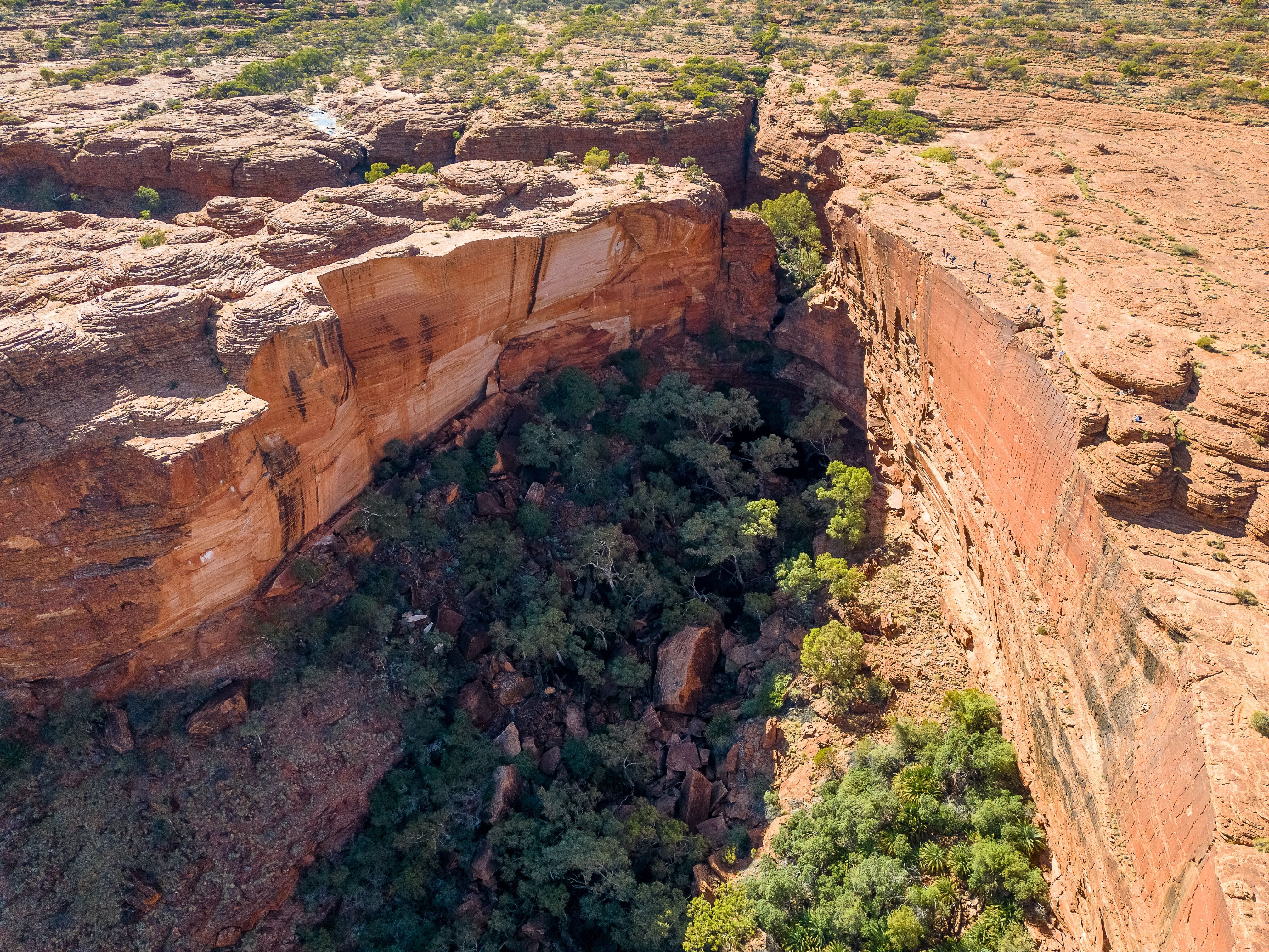 Kings Canyon & Outback Panoramas