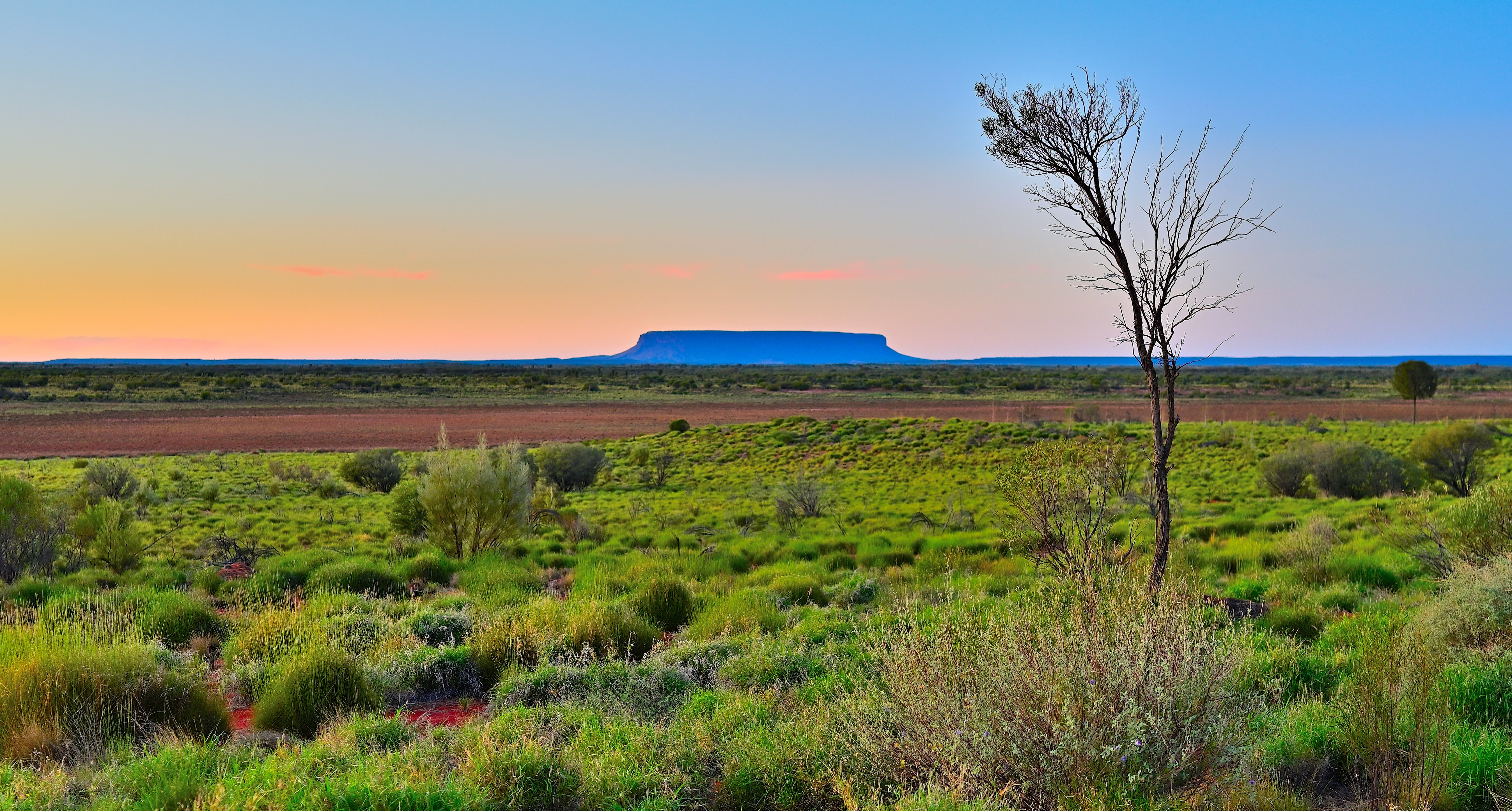 Mount Connor Asutralia in the distance