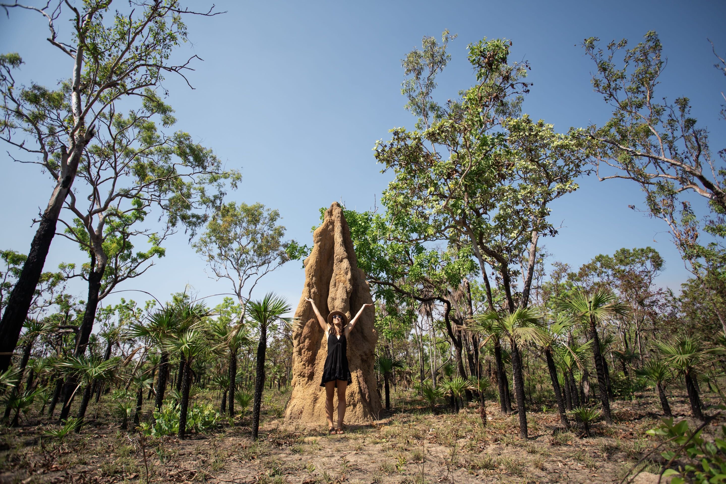 Termite Mound Litchfield NP