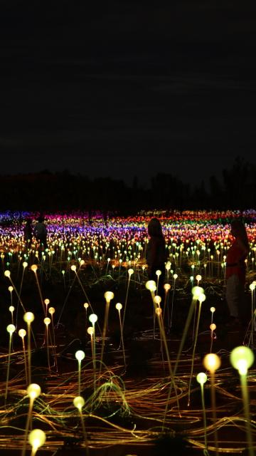 Field of light up close