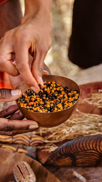 traditional Australian bush tucker