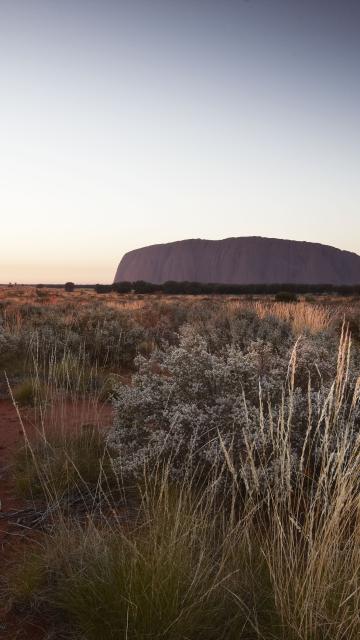 Sunrise next to Uluru