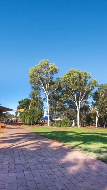 The Lawn Gallery